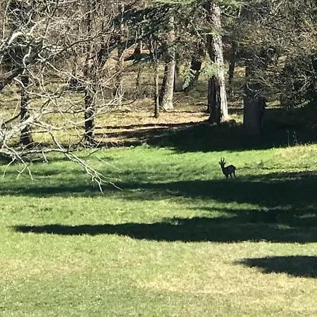 Le Serre Del Cerreto Lappeggi