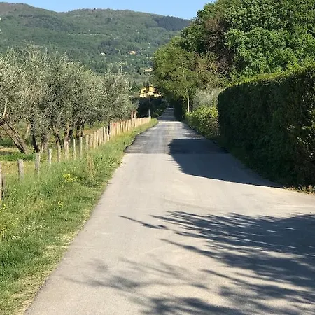 Le Serre Del Cerreto Holiday home Lappeggi